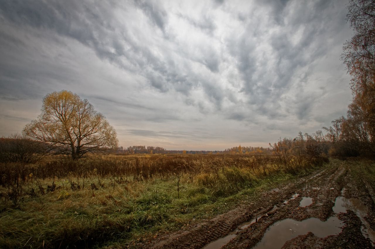 Thunderstorm warning issued for 7 counties