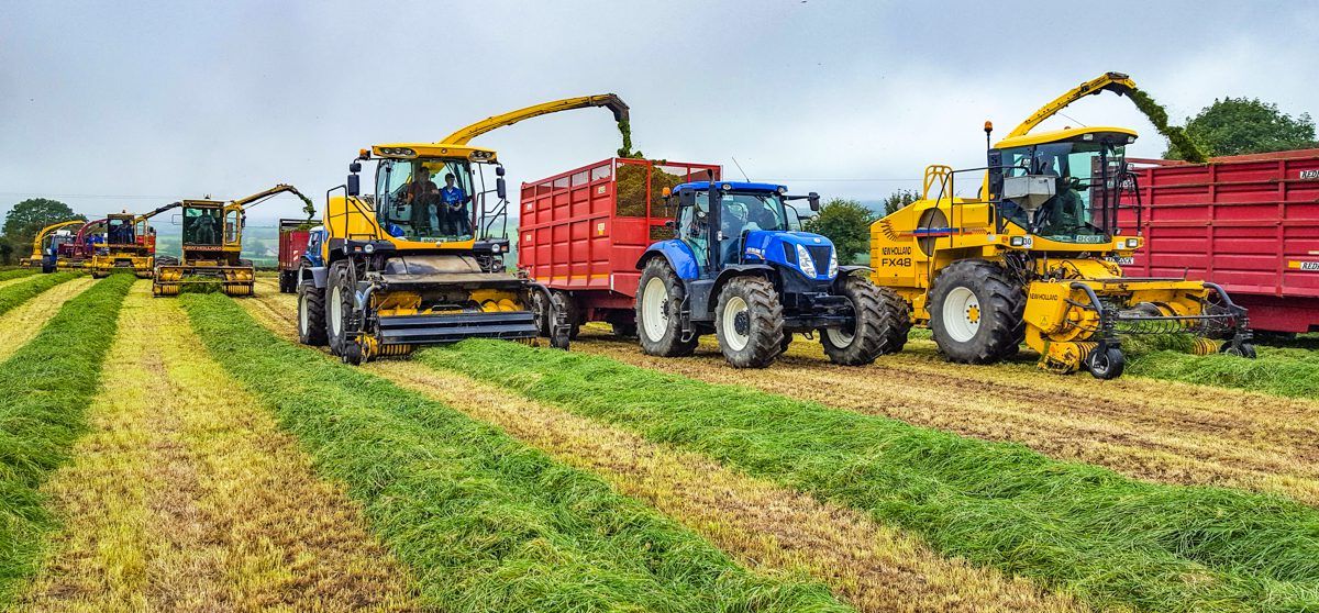 Pics: Forager frenzy at Ford-themed machinery extravaganza in Cork