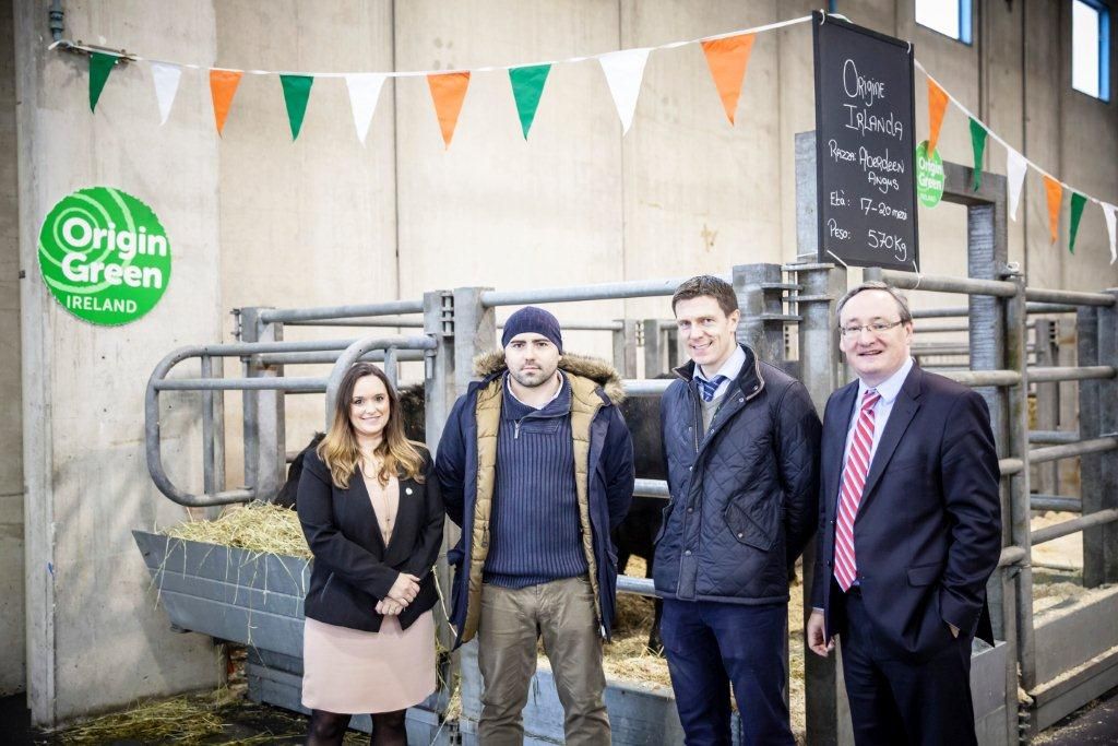 Bord Bia promotes live cattle exports at Italy’s premier Livestock Fair