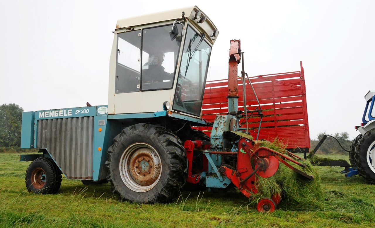 Pics: 'Old-school' machinery at Autumn Harvest event in Co. Cork