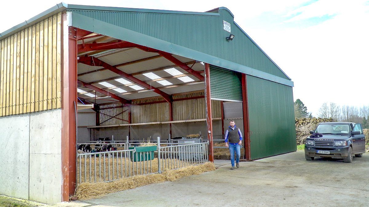Purchasing 180 calves from local dairy farms in Co. Kilkenny