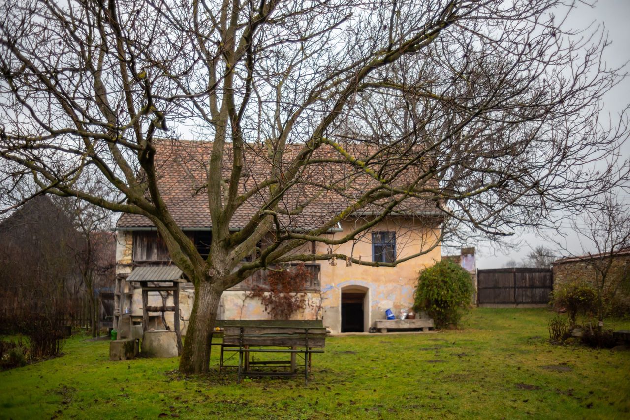 More than 2,000 homes liable  for Vacant Homes Tax in 2024