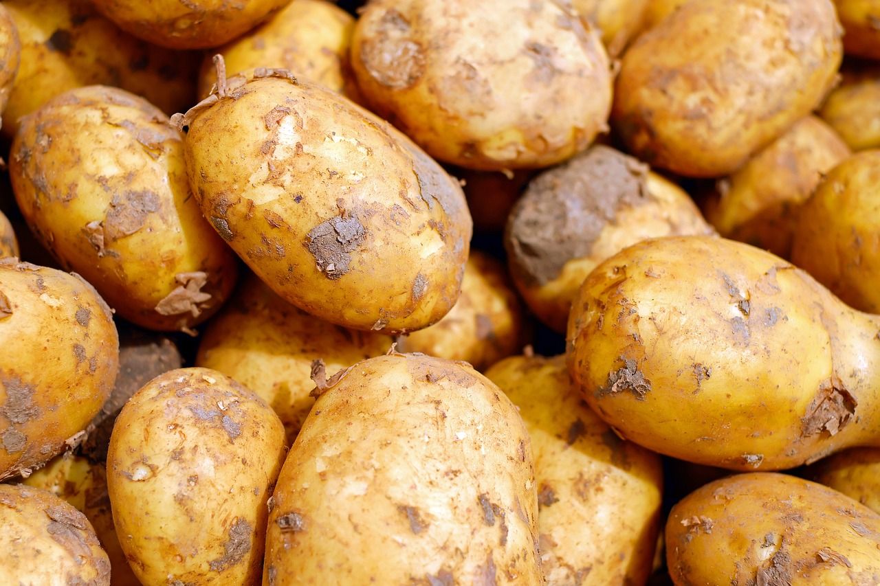 Bord Bia National Potato Day celebrates 'Ireland's number one veg'