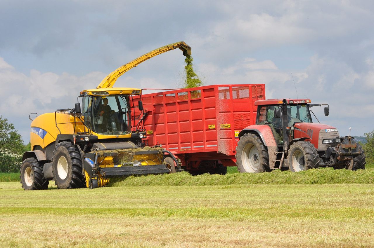 Period of settled weather set to benefit those making silage