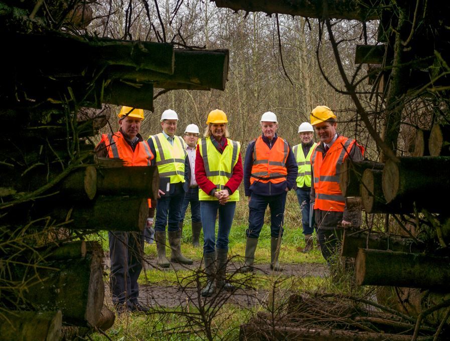 Hackett urges early thinning of forests to supply energy market