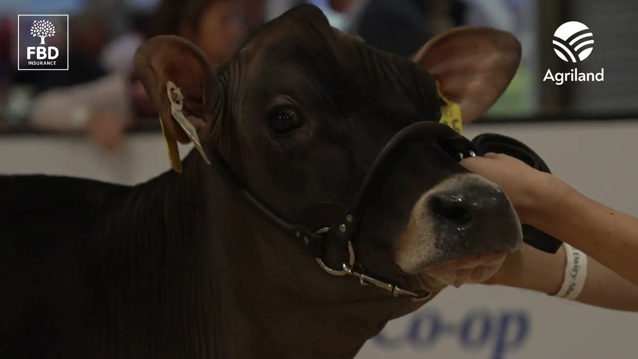 FBD National Dairy Show 2026 Day One Highlights!