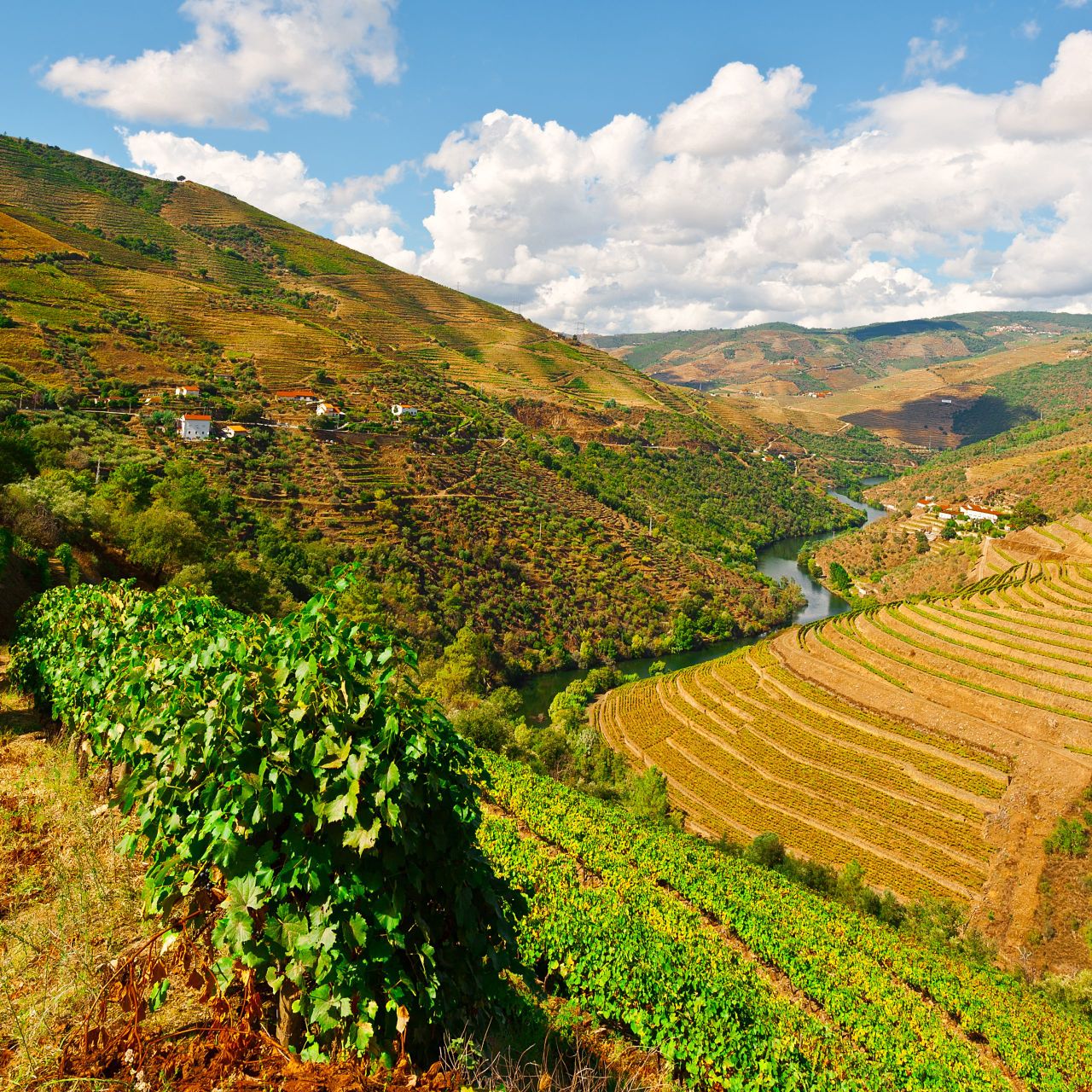 €10m fine for Portugal after breaching EU Habitats Directive