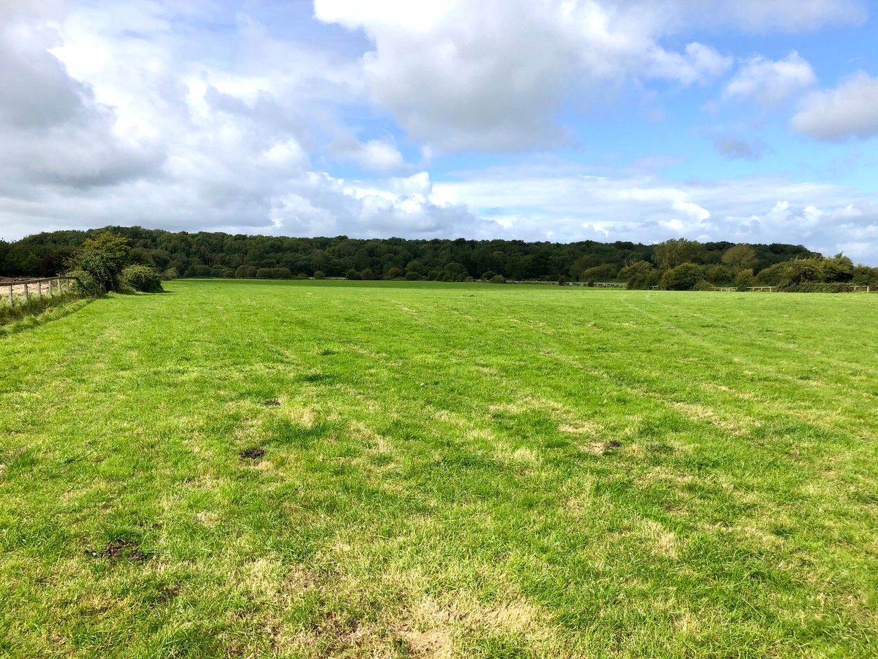 14.5ac agricultural land in Co. Laois 'suitable for a wide number of uses'