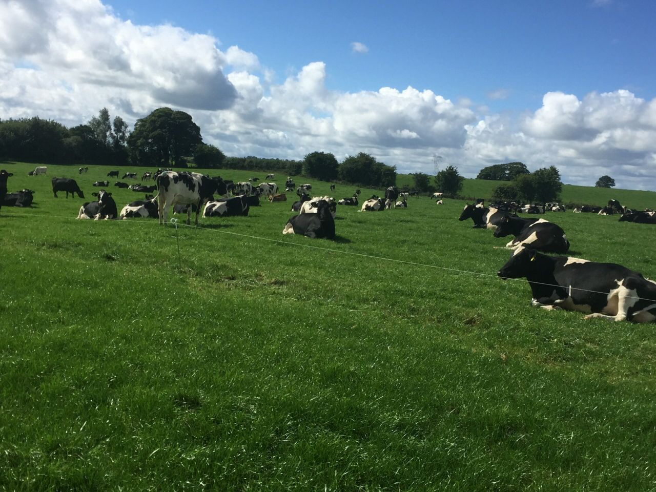 Irish dairy farmers paid third lowest milk price in Europe