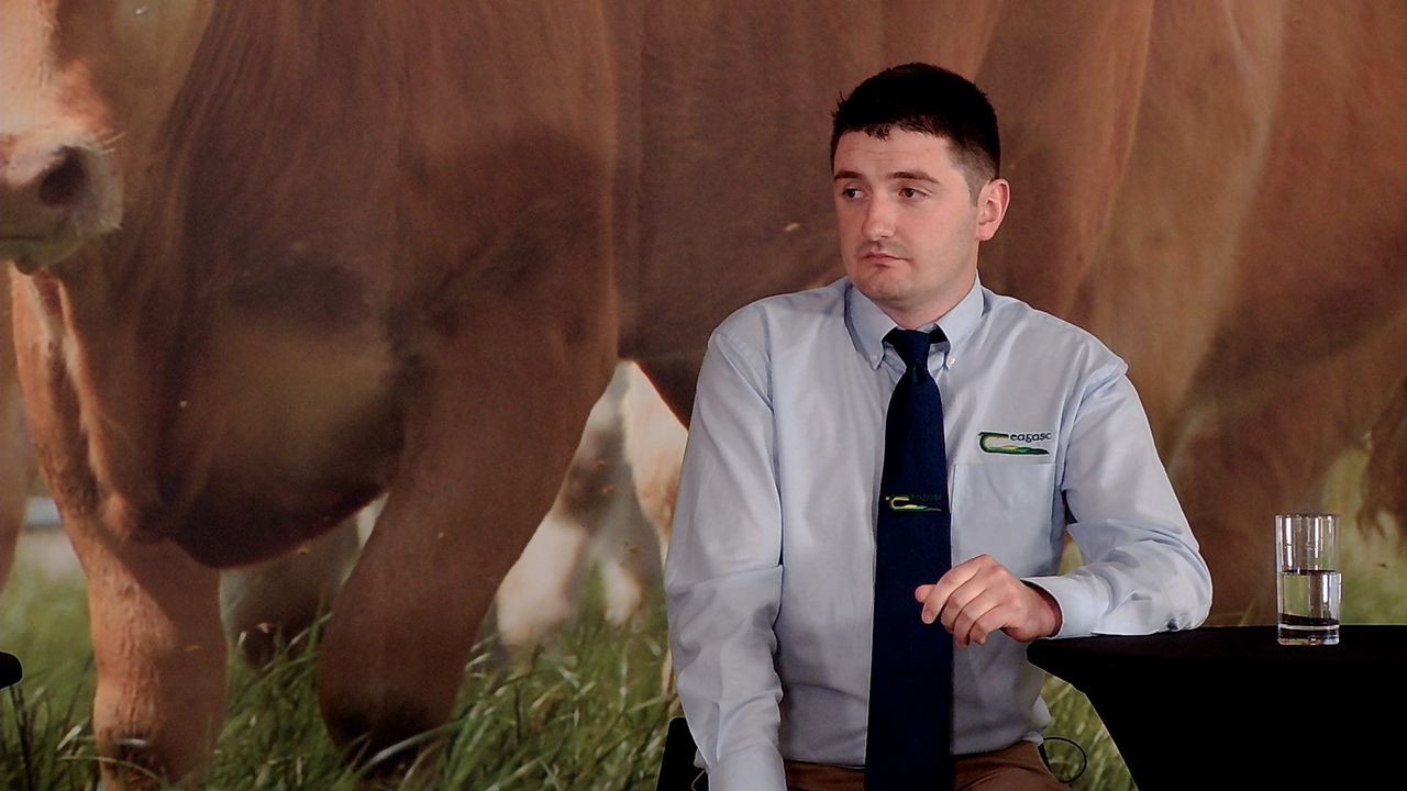 Teagasc: Virtual Beef Week: Importance of System and Genetics in Dairy Calf to Beef Systems