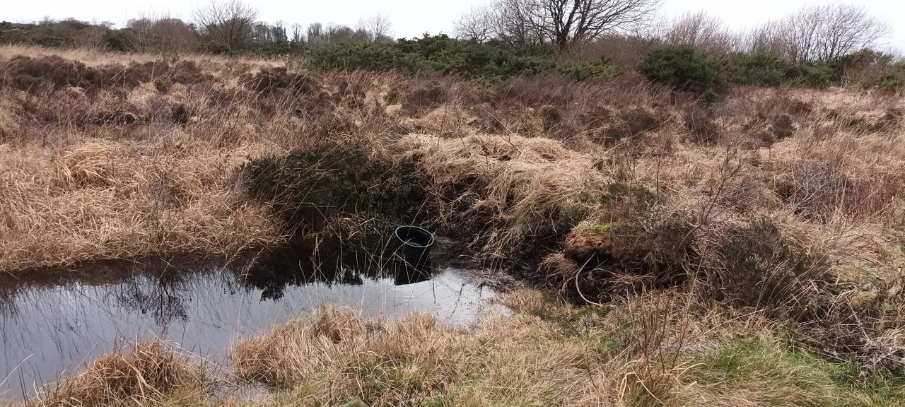 Midlands project supports farmers rewetting peat soils