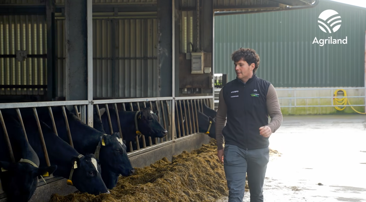 How Dairy Farmers Can Save Time During the Busy Spring Period