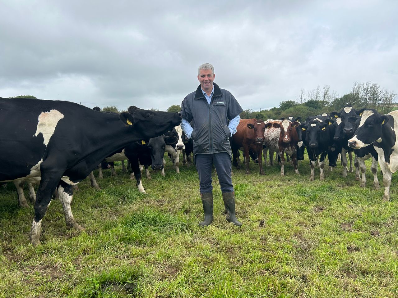 Dairy Focus: 'Milking cows is my therapy' - Senator Lombard