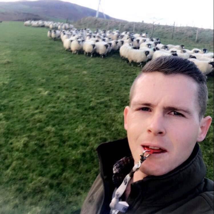 'My father taught me everything I know about livestock and the art of sheepdogs'
