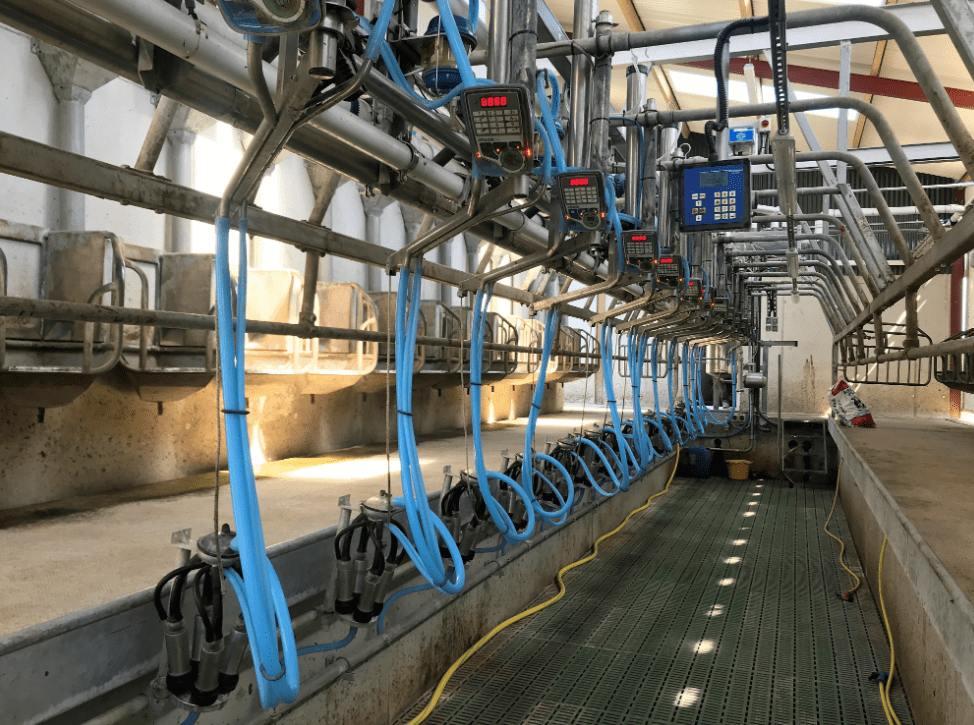 Dairy advice: Servicing the milking machine and bulk tank