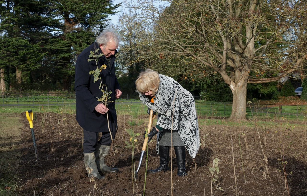 Mini forest planted at Áras an Uachtaráin to mark new planting season