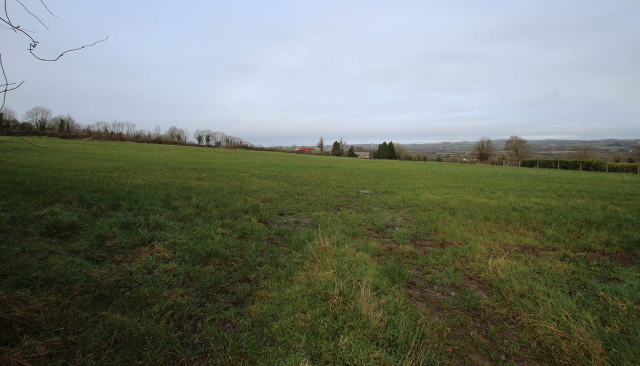 Tipperary land: Successful auction 'bucks the trend of recent sales in the area'