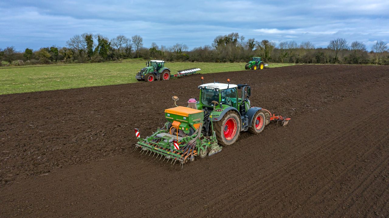 Winter cereal seed sales take a hit