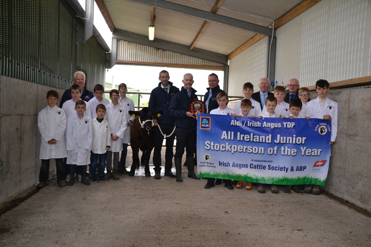 'All Ireland junior stockperson' competition opens for entries