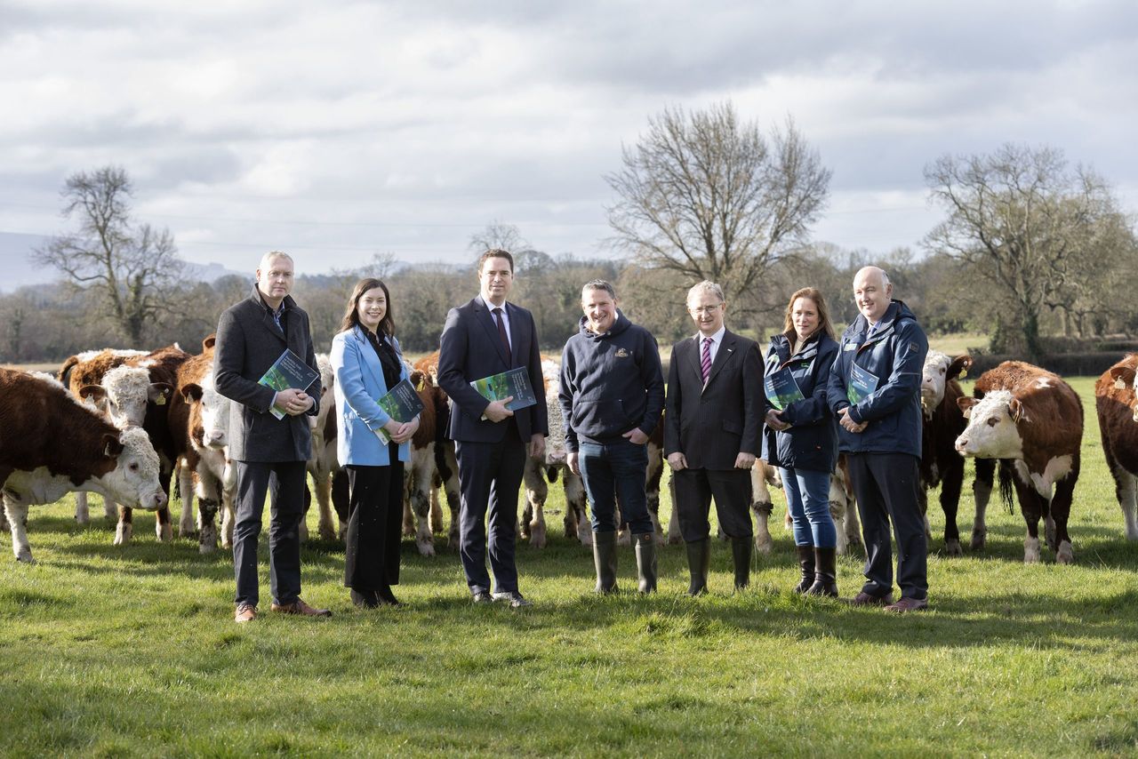 Report recommends central hub for organic producer organisations