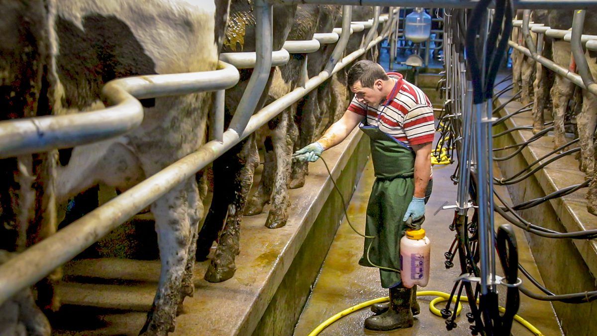 Post-milking teat disinfectant crucial during spring