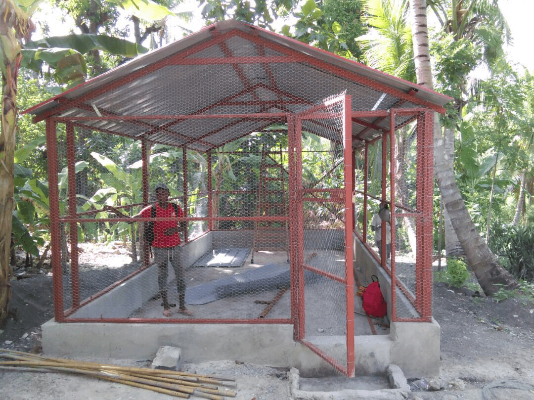 Manor Farm travels to Haiti to build chicken coops for charity