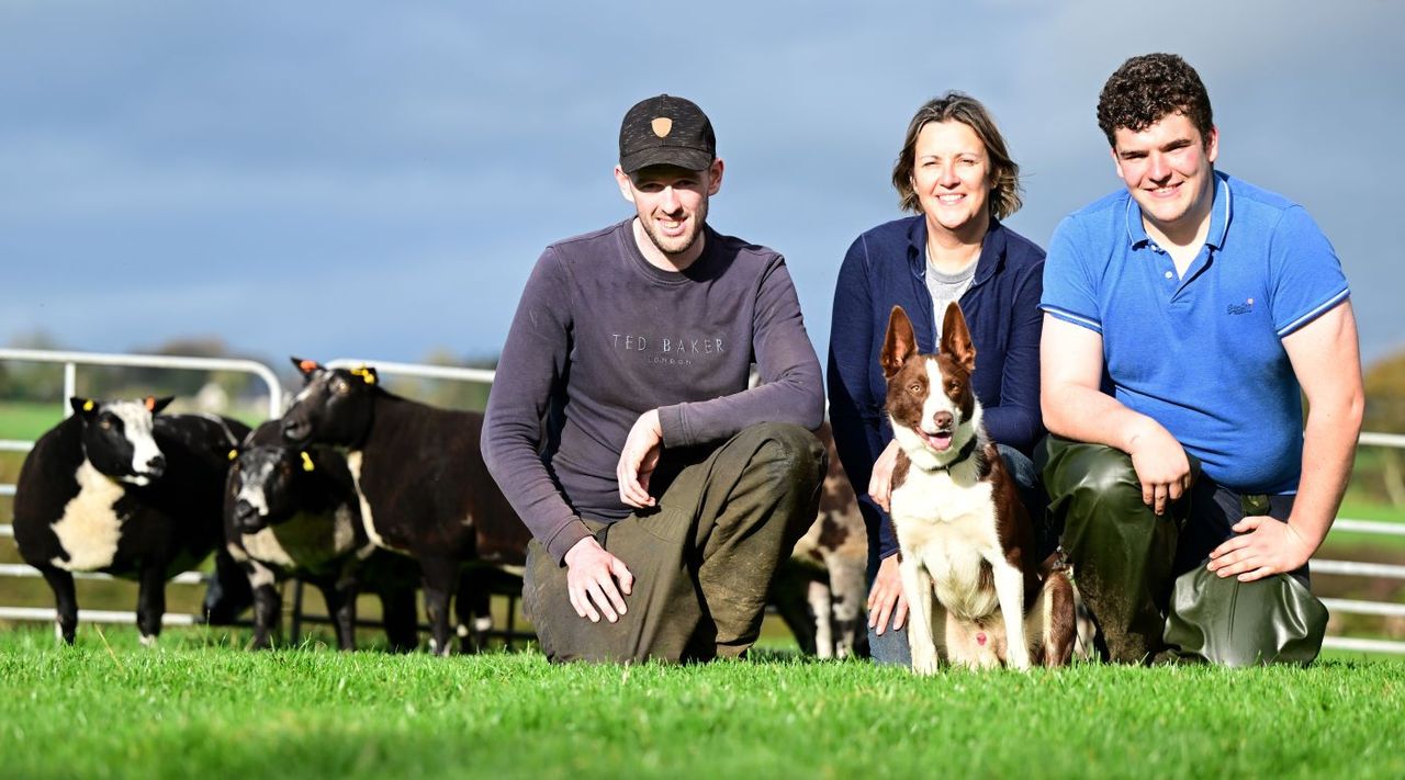 Derg Dutch Spotted flock set for disperal sale at Ballymena