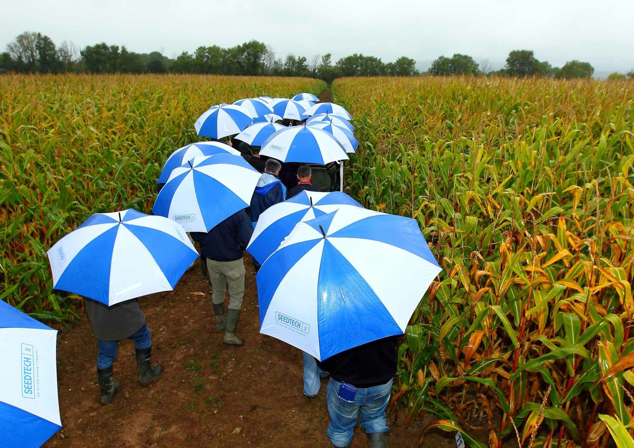 Crowds gathered despite the rain for 2014 Seedtech maize open day