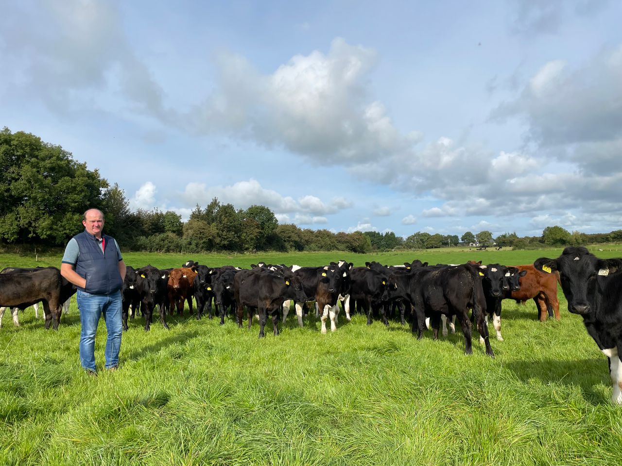How this farmer is producing beef in the lowest 4% GHG/kg