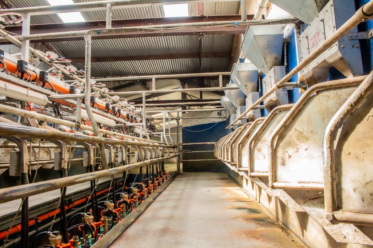 Concentrate feeding on winter-milk farms