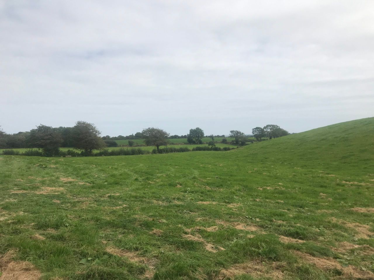 Embracing cow management technology in Co. Wexford