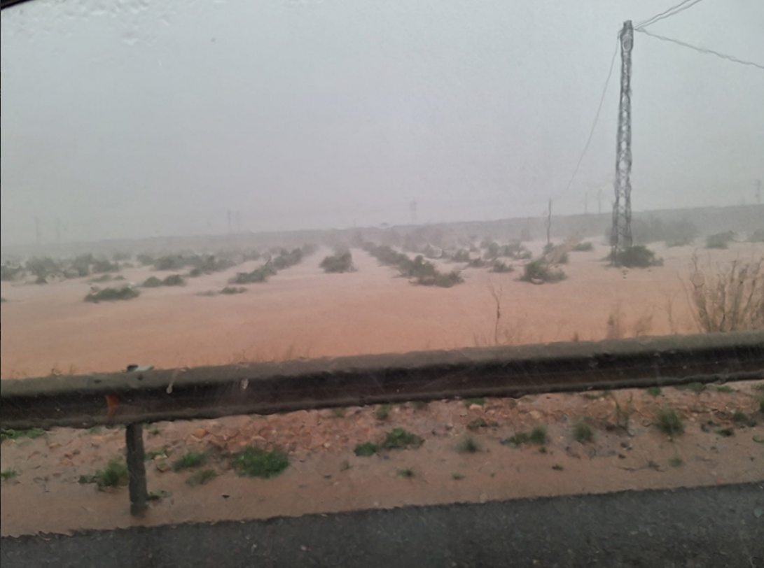 Spanish farmers facing 'catastrophic' losses after flash floods