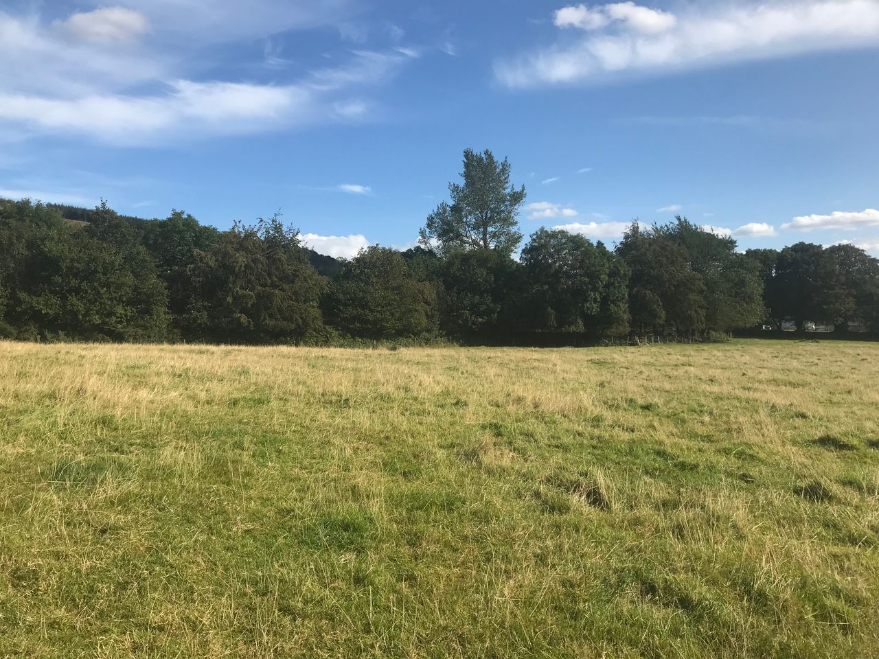 'Excellent parcel of land' in picturesque location for auction