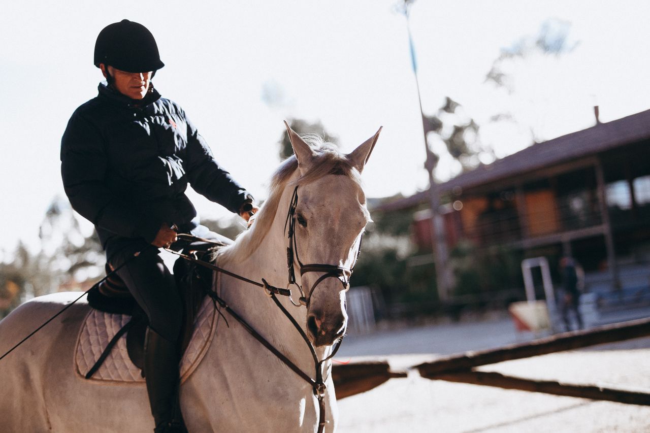 Road safety: Series of videos  to protect horse riders on roads