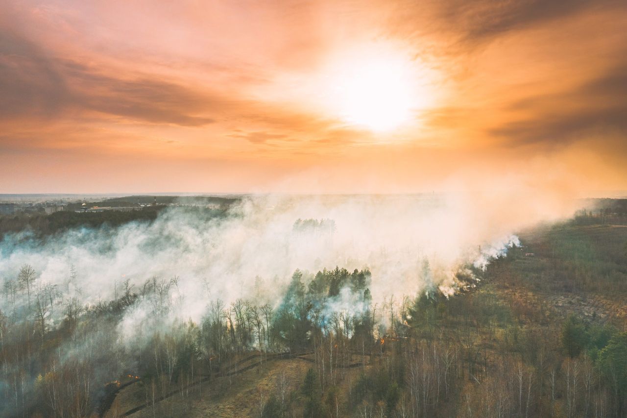 Crews bring Clare gorse and forestry fire under control