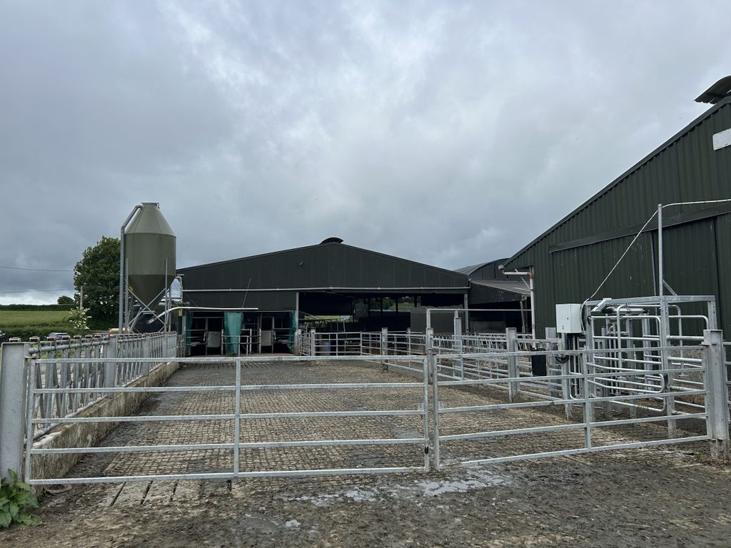Lonergan's collecting yard and drafting system coming from the parlour