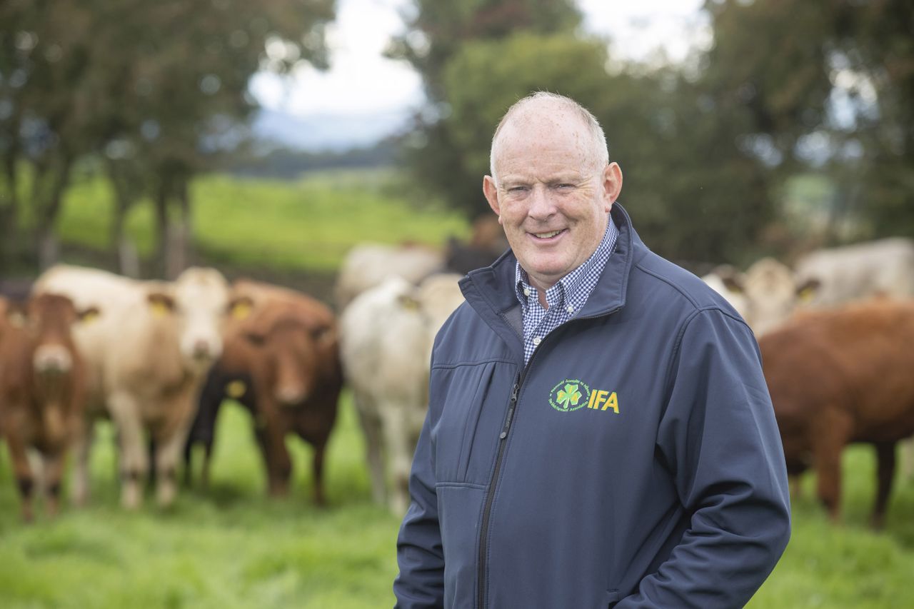 Gorman: More support needed for farmers in Budget 2024