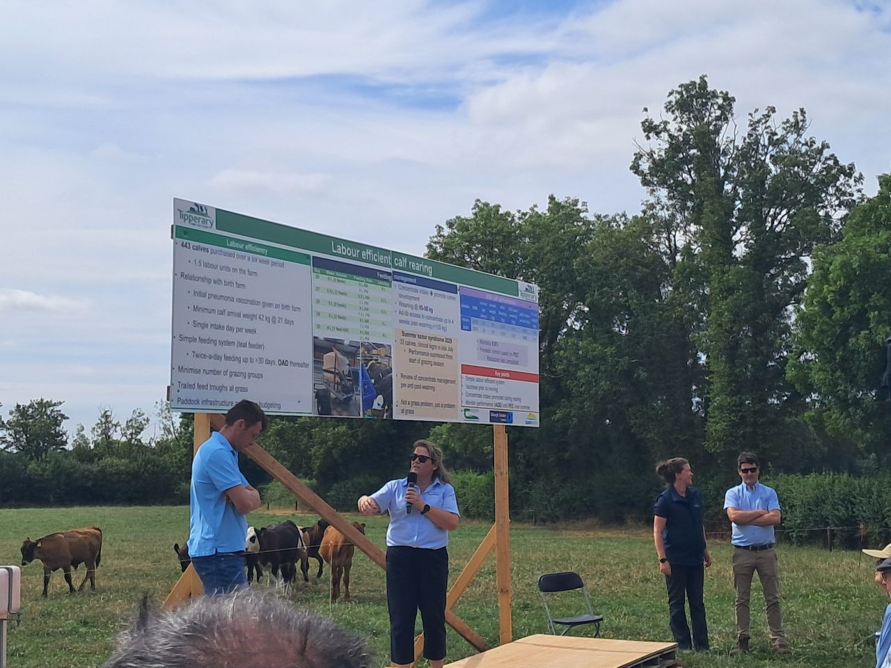 Labour efficiency at heart of calf rearing on demo farm