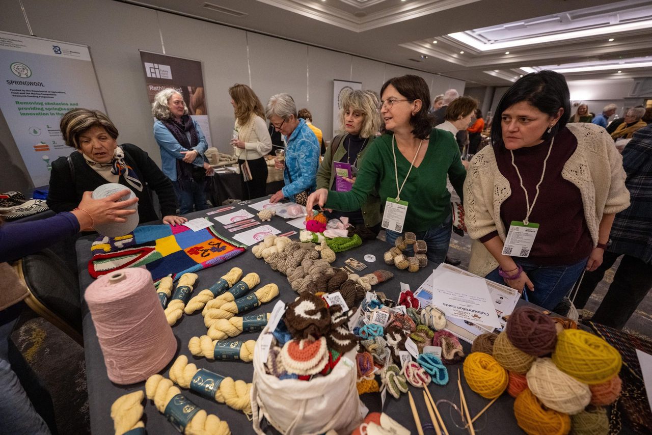 Hundreds attend European Wool Day event in Kerry