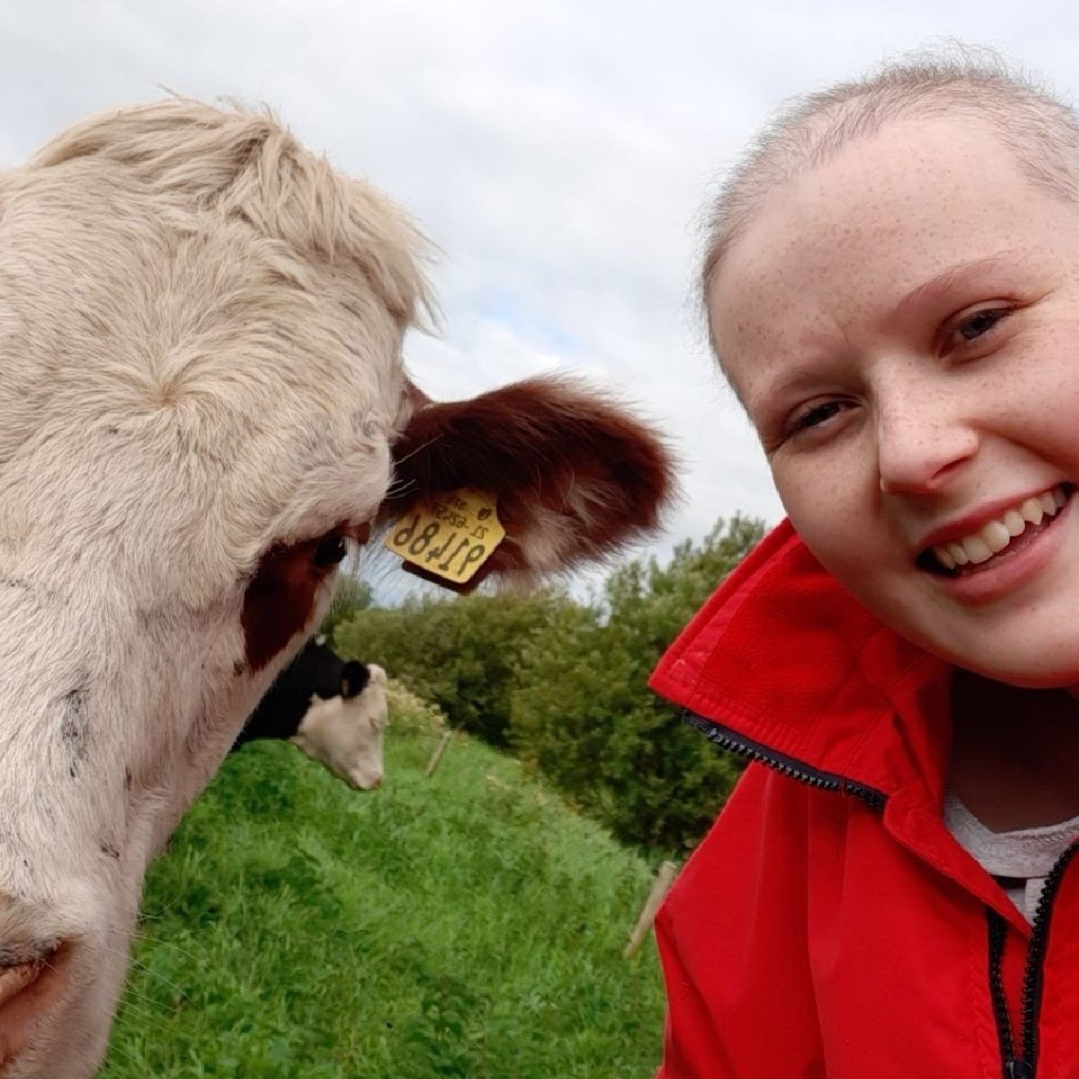 'Without the farm I don't know what I'd have done' - cancer survivor