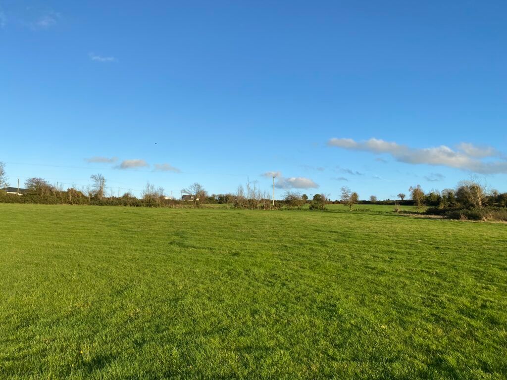 Bumper auction as Wexford land sells for double guide price