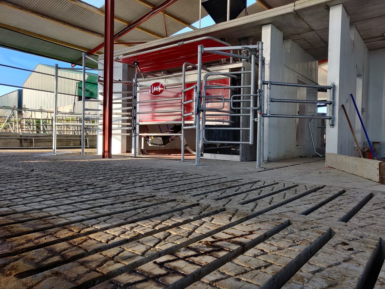 The initial stages of what a move to robotic milking looks like