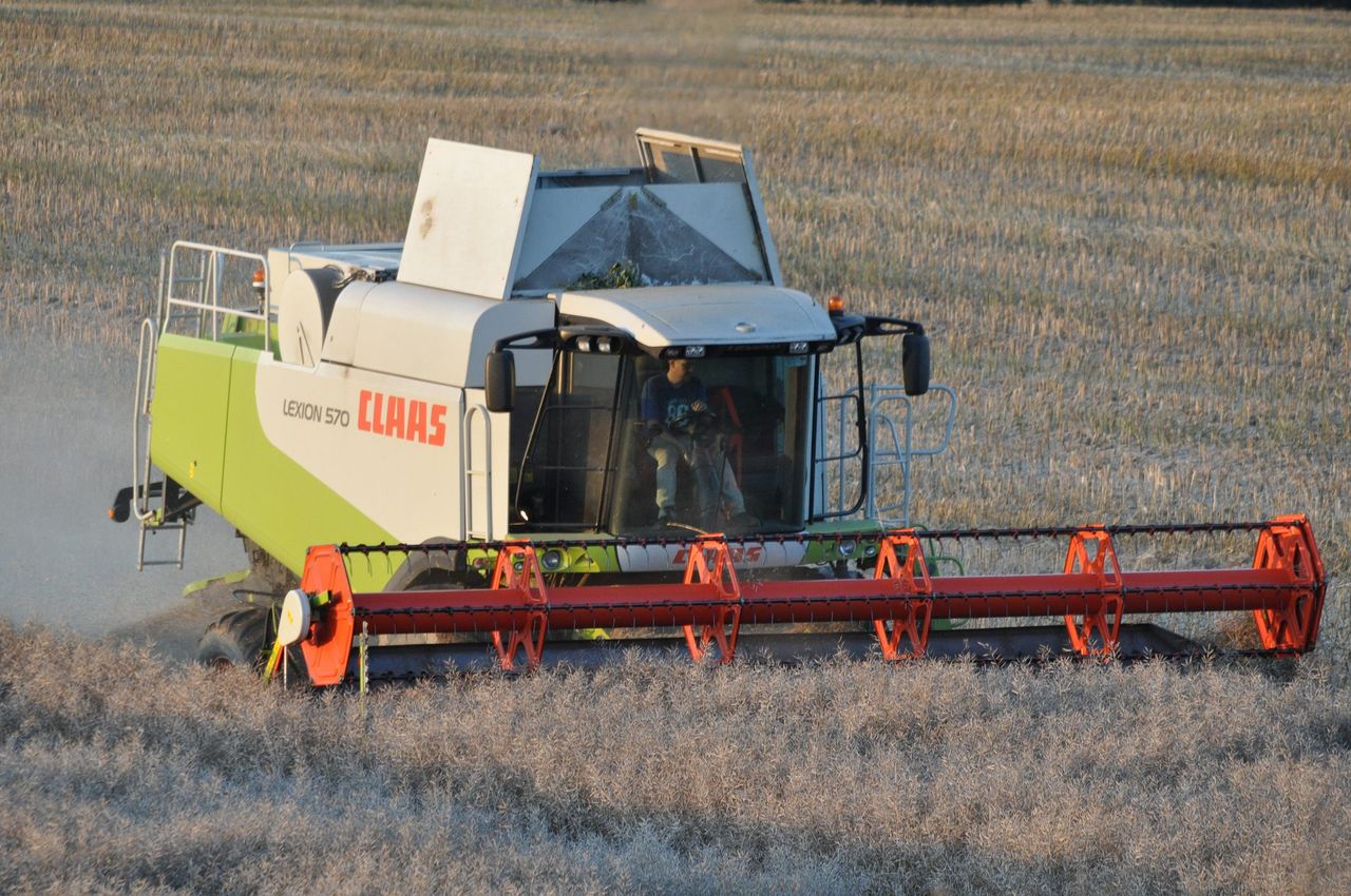 'Farmer-owned co-ops must set sustainable prices for growers this harvest'