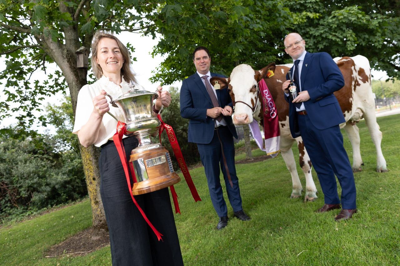 Experience the best of Irish country life at Virginia Show 2026