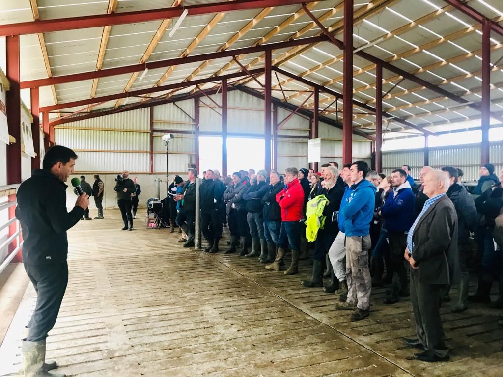Huge crowds attend Teagasc Green Acres Calf to Beef farm walk in Co. Kilkenny