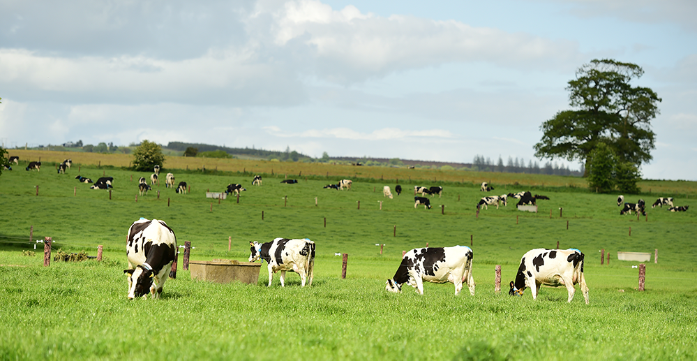 Teagasc staff pay costs rose by 9% to €109m in 2024 - report