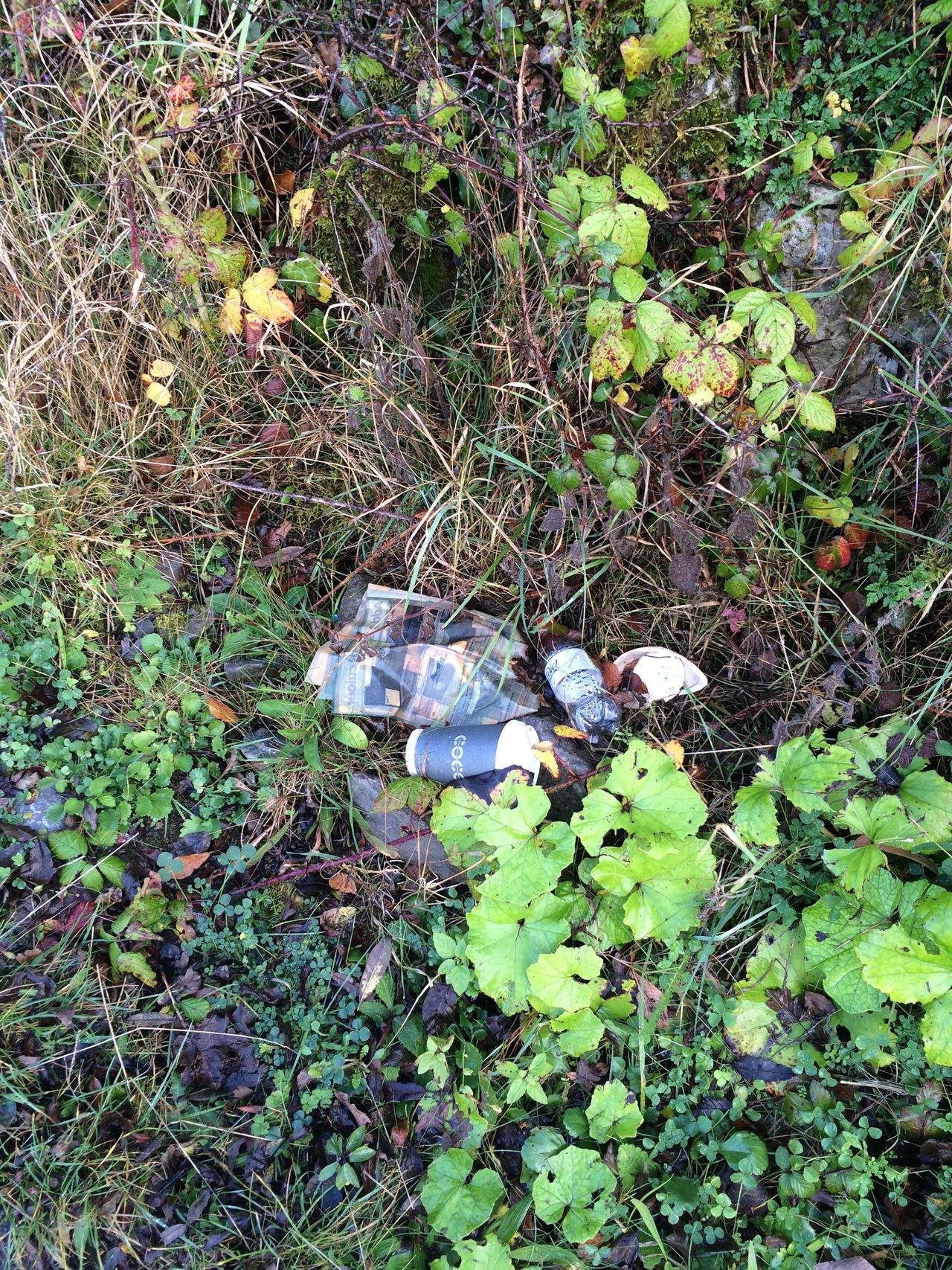 1 in 5 litter louts admit to leaving waste in the countryside in last 3 months