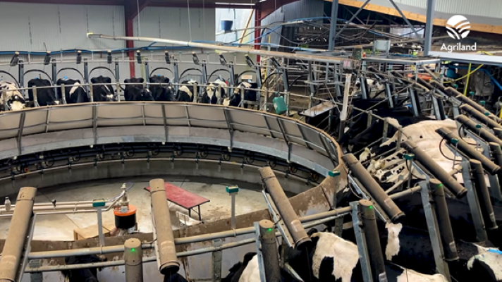 44-bail GEA rotary parlour in action in Co. Cork
