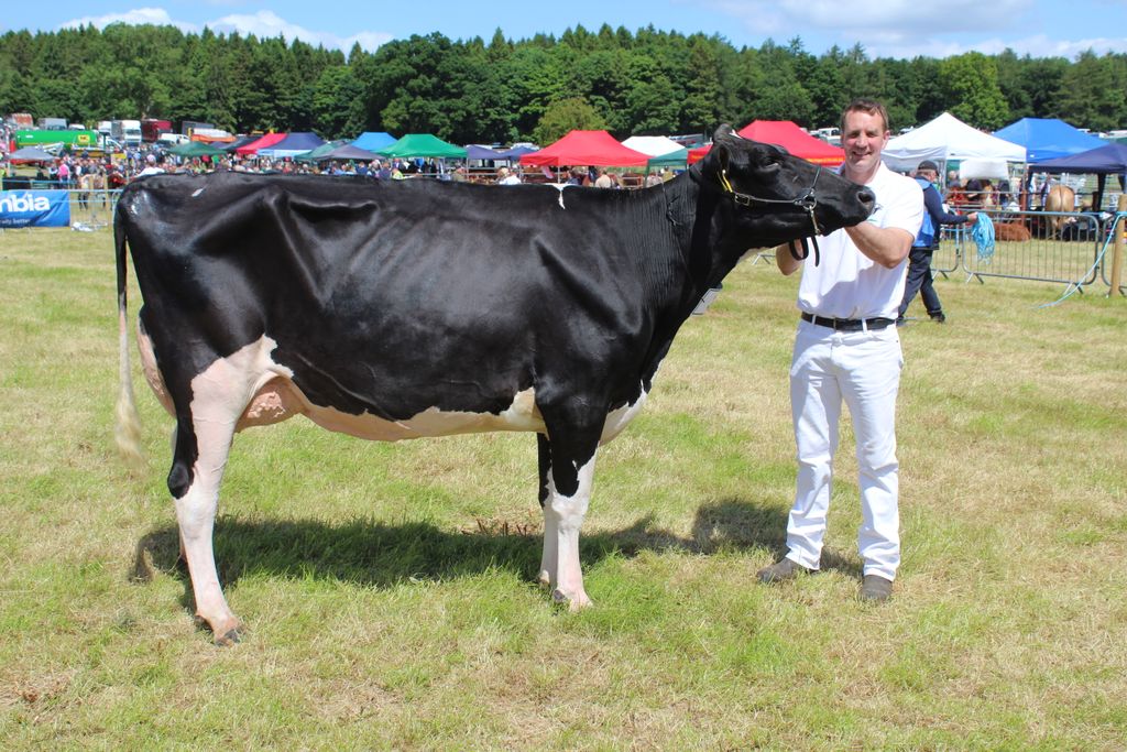 James Morton, from Armagh, with the Holstein reserve champion at Armagh Show 2024