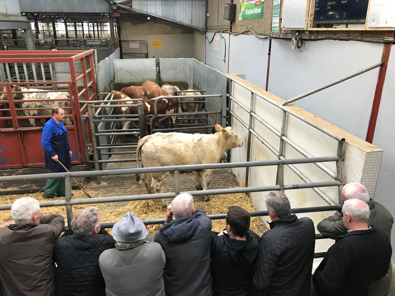 Mart trade: Silage and haymaking duties take priority